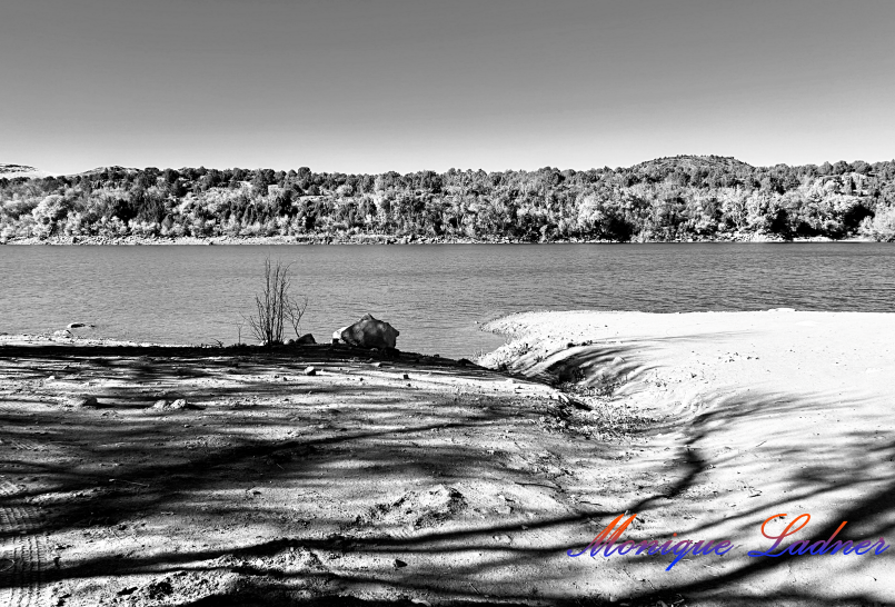 Ladner Art Corner Editorial Photography category. Black and white landscape photo of a forest in the background with a lake in the mid ground and sand area in the fore ground with shadows from nearby trees.