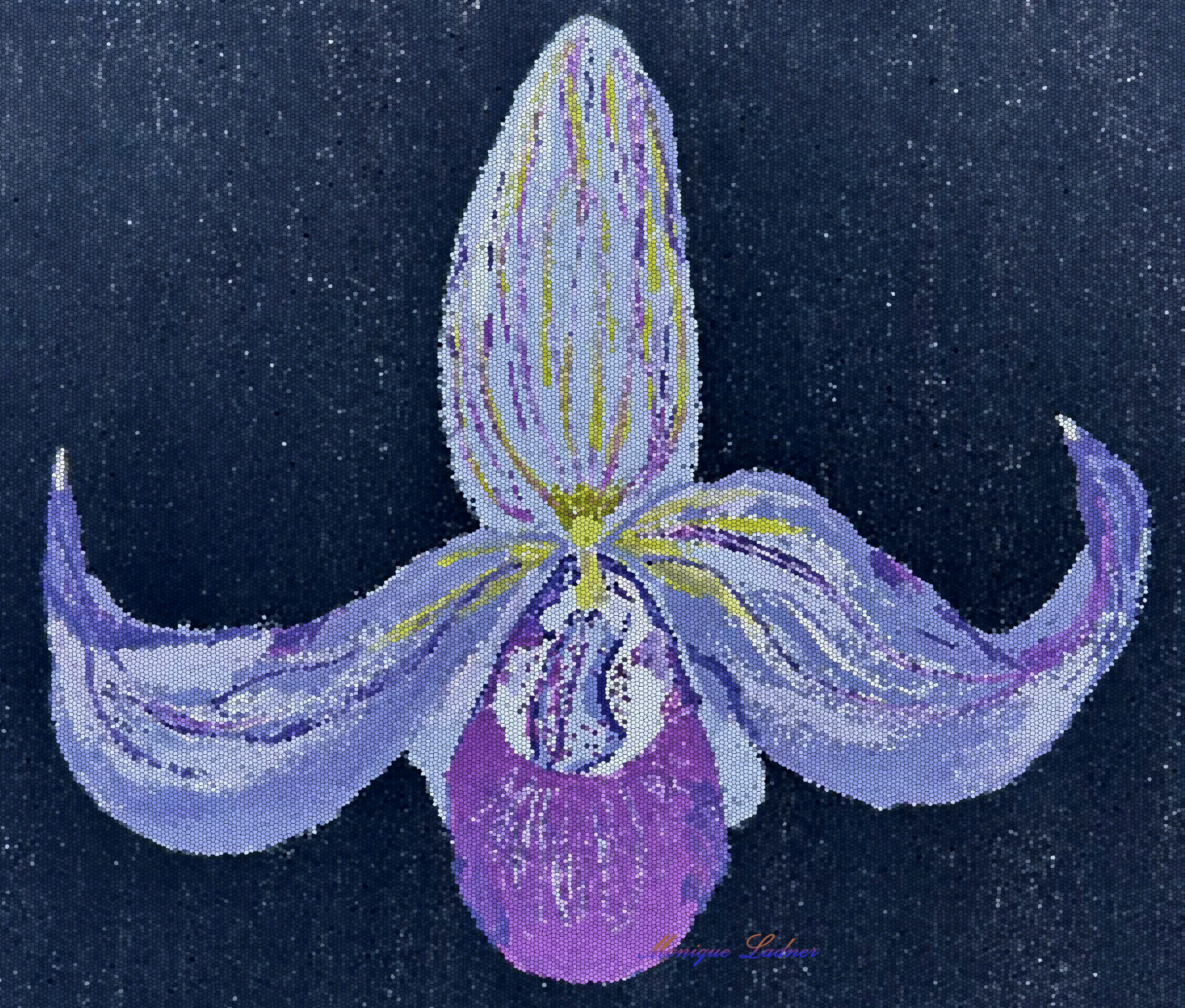 An orchid with various hues of purple on a dark textured background