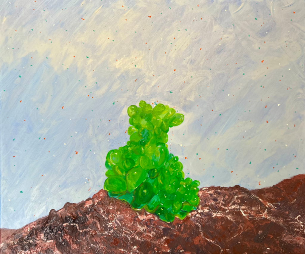 Green Bubble Algae that has washed up on rocks.